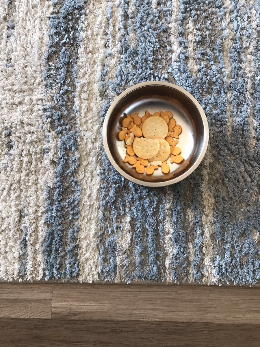 penny’s drawer of treasures (plus the dog food bowl)