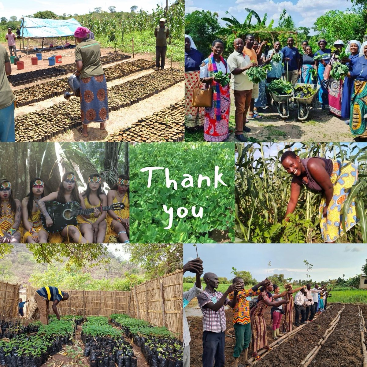 2022 was a busy year supporting permaculture projects around the world thanks to our amazing donors! We planted over 1 mil trees, supported the Youth in Permaculture Prize, and helped build a permaculture learning center and recording studio in Kenya’s Kakuma Refugee Camp.