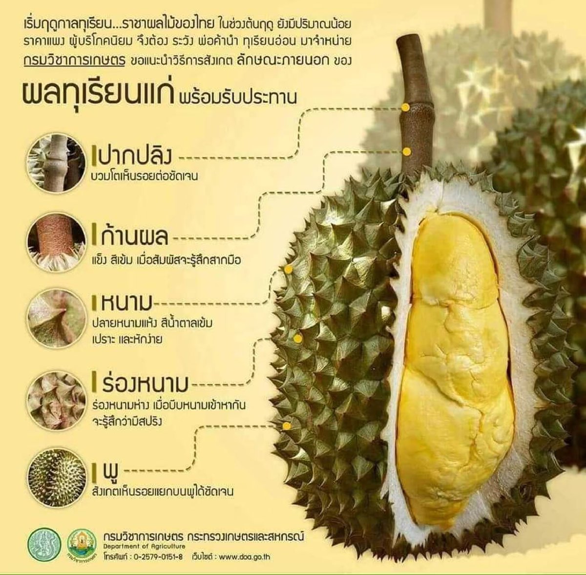 เว่ออออ ครับผม (‵▽′)ψ tweet media