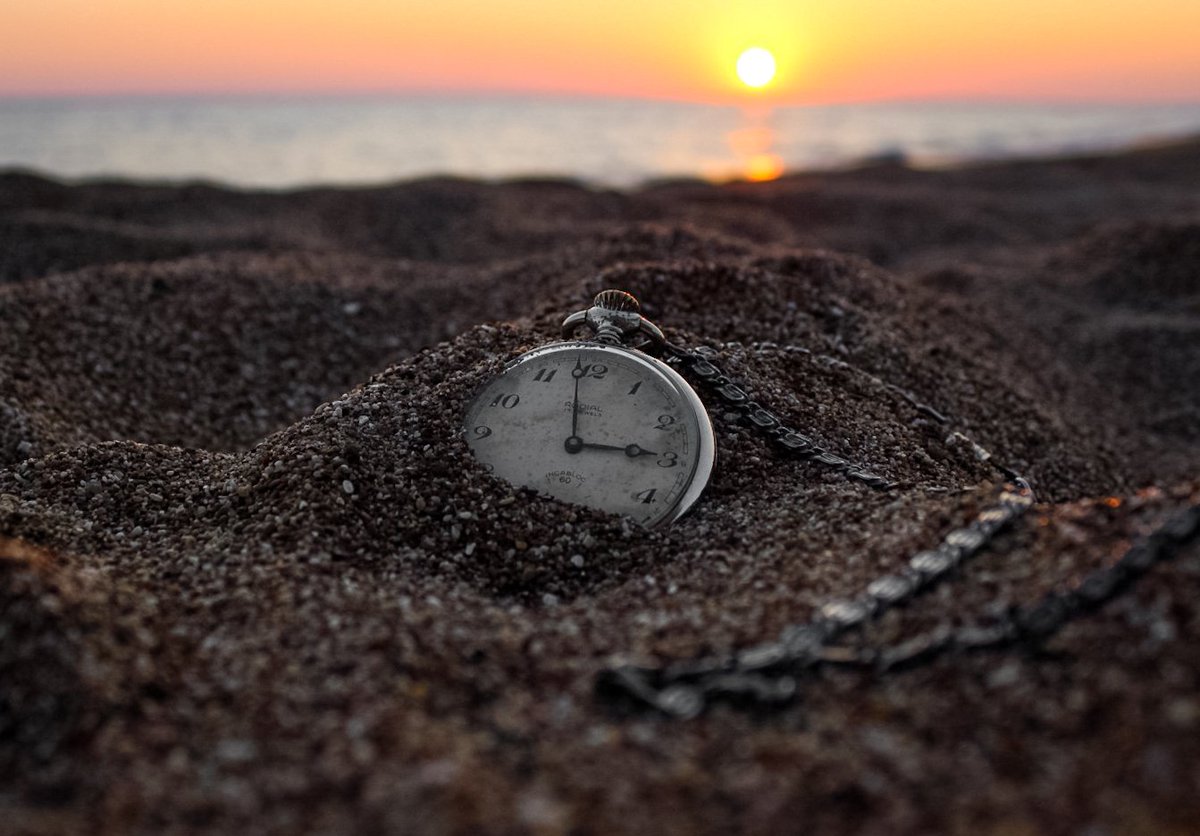 Capture Project tweet media