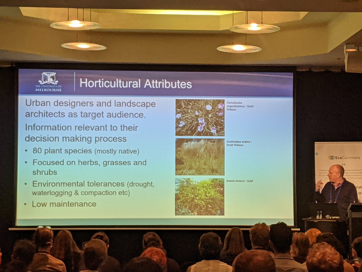 What can you plant in the city to help biodiversity? Plants that provide good resources (ofc)!
 
Does planting for biodiversity work?
 Yes! Monitoring biodiversity plantings by Nick Williams <a href="/GIRG_Unimelb/">Green Infrastructure Research Group</a> shows increases in richness and abundance of native 🐝, and abundance of 🦋