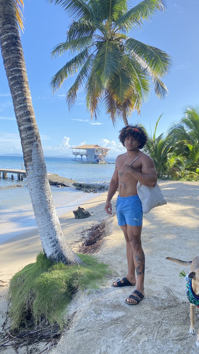 EdgarStiff's tweet photo. tropical week 🌞 https://t.co/Yc8vbSLKYW