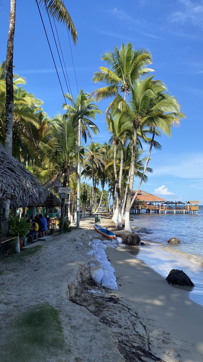 EdgarStiff's tweet photo. tropical week 🌞 https://t.co/Yc8vbSLKYW