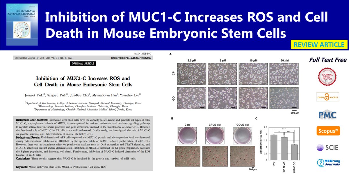IntJStemCells's tweet photo. Inhibition of MUC1-C Increases ROS and Cell Death in Mouse Embryonic Stem Cells
🌷https://t.co/zrZ8aYxcAi
International Journal of Stem Cells 
2021;14(2)Jeong-A Park
#Mouse_embryonic_stem_cells #MUC1_C #Proliferation #Cell_cycle #ROS https://t.co/TrXCxOYvEP