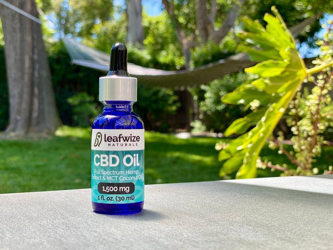 How much do you really understand Cannabis and the Cannabis Industry? Read on to find out some more..#cannabis #cannabiscommunity #weed #marijuana #thc #CBD #cannabisculture <a href="/cbt_bot/">CBT役に立つかもしれない情報bot</a> <a href="/TheWeedSpot_/">WeedBOT</a>