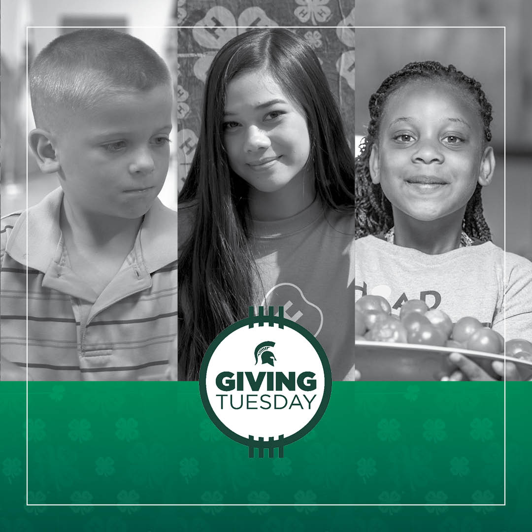 MI4HFoundation's tweet photo. We're at $3,100 of our $5K #GivingTuesday goal! Help us get to 100% with a gift to support #MI4H youth today and into the future. Don’t forget, the top four counties that raise the most will receive a bonus of $250 each. https://t.co/YSDWCFjTX4 https://t.co/LHJQWob5IZ