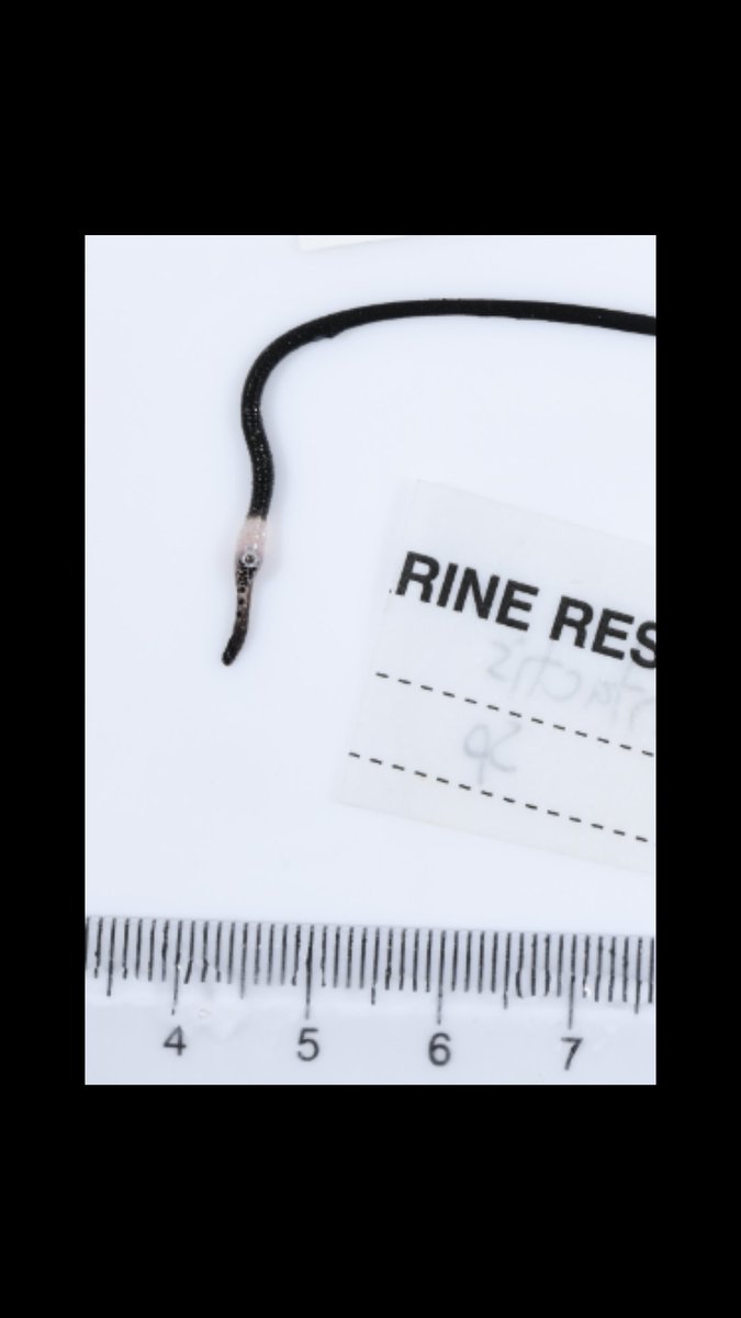 Helen O'Neill tweet media