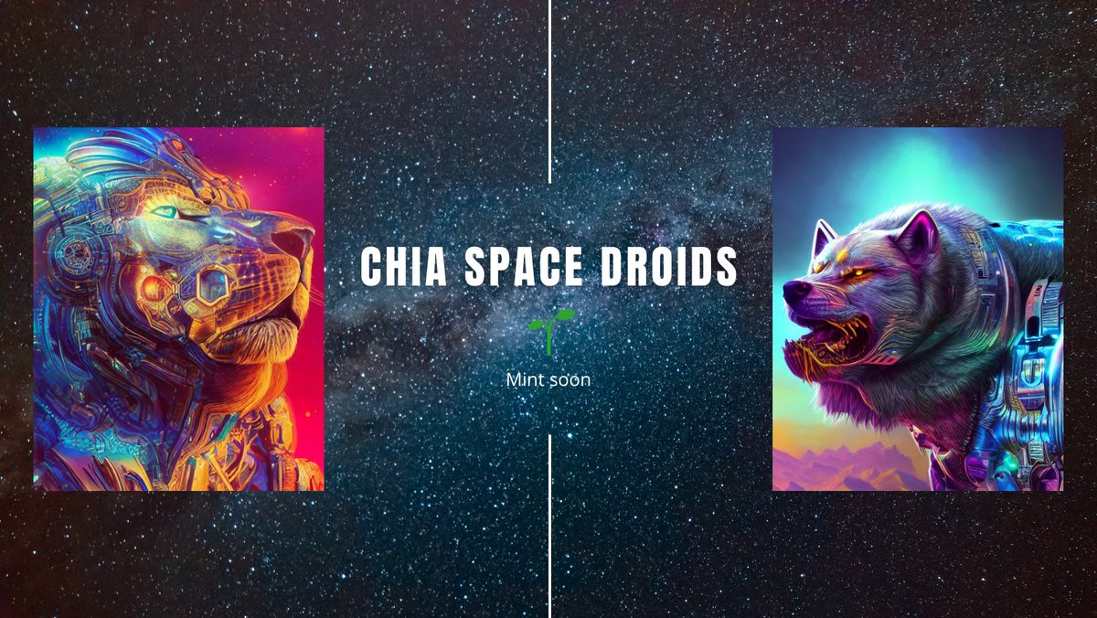 More than half of the collection is minted, once finished, its distribution and sale will begin

#xch #chiacommunity #NFTProject #NFTCommunity #NFTGiveaways