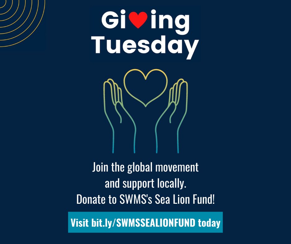 Each year we head into the Holiday Season with generosity in our hearts. On this Giving Tuesday, we hope you will consider adding the Sea Lion Fund to your list of causes. Simply visit Bit.ly/SWMSSEALIONFUND. 🦭🙏