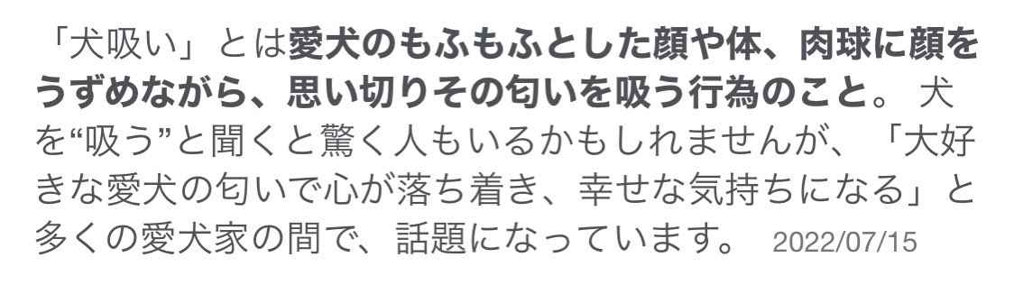 「最近まで、犬吸いって言葉知らなかった。毎日夫吸いしてます!幸せな気持ちになります」|KUKUのイラスト