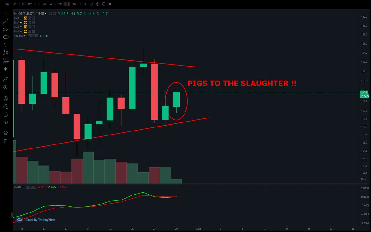 billc062's tweet photo. $QNT #PONZI TECHNICAL ANALYSIS THREAD🧵

MORE PIGS TO SLAUGHTER🐷🐷🐷🐷🔪🔪🔪🩸🩸🩸🩸 https://t.co/qXbk1ff9Ky