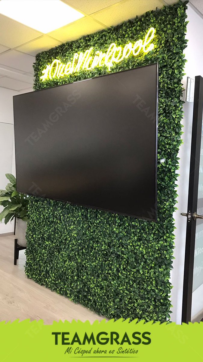 CespedTeamGrass's tweet photo. Jardines Verticales artificiales, ideal para decorar paredes. 

https://t.co/JyiMaQyCqT https://t.co/PKt97Q18Nl