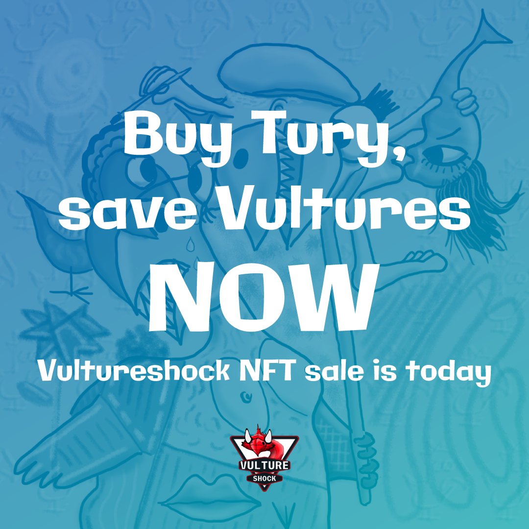 vulgareshock's tweet photo. Guess what? @vulgareshock is having its #NFT sale today! #Tury needs to find a home, ASAP. 

If you get one Tury, you will save his fellow vultures from nasty poachers. 

OS link: https://t.co/FZIwVvaKCU
Join our Discord #NFTcommunity at https://t.co/ekDqITZQkk https://t.co/lVPipafdB1