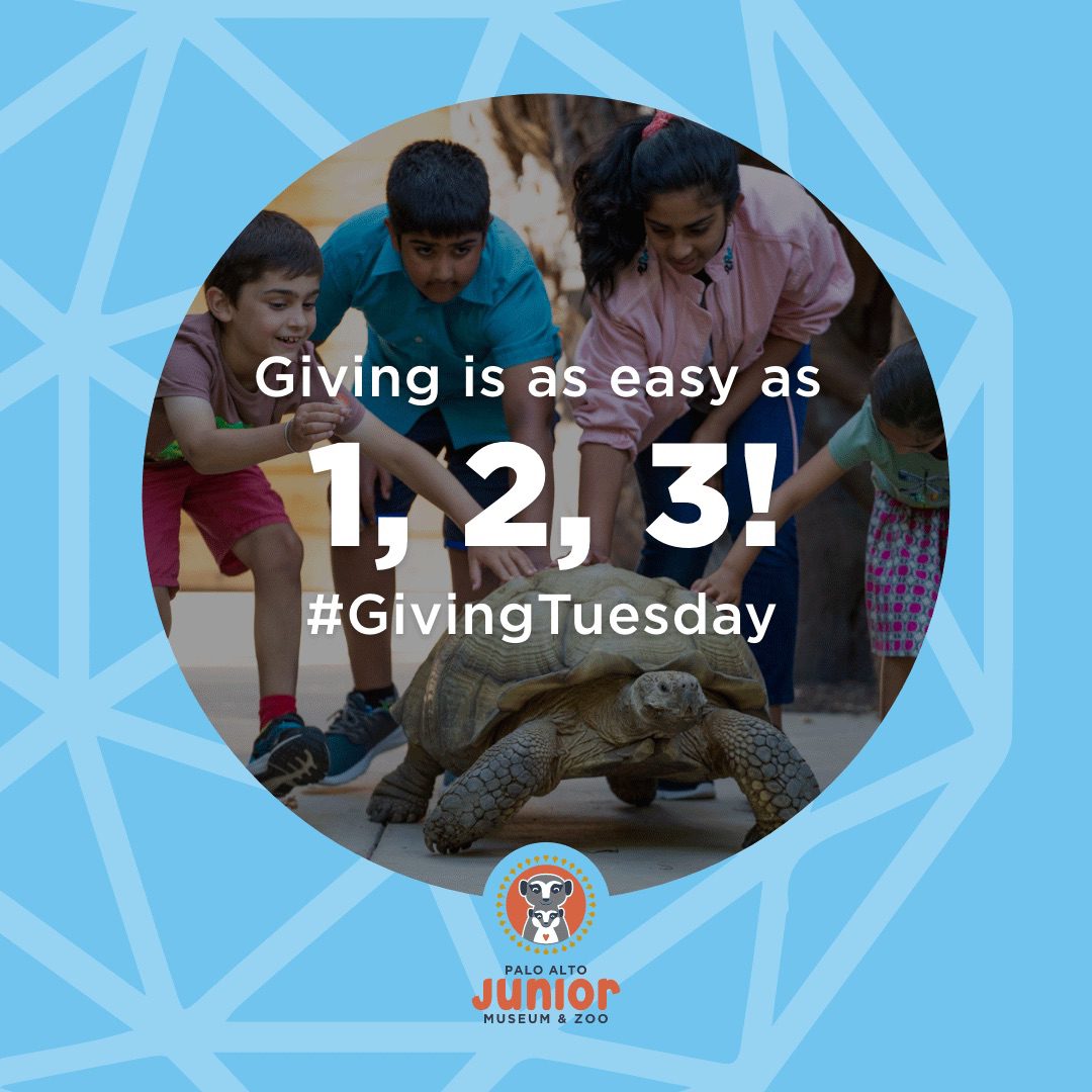 With #GivingTuesday coming to a close, please consider supporting the Friends of the JMZ. Every dollar donated today will be matched, up to $10,000! friendsjmz.org/donate #GivingTuesday