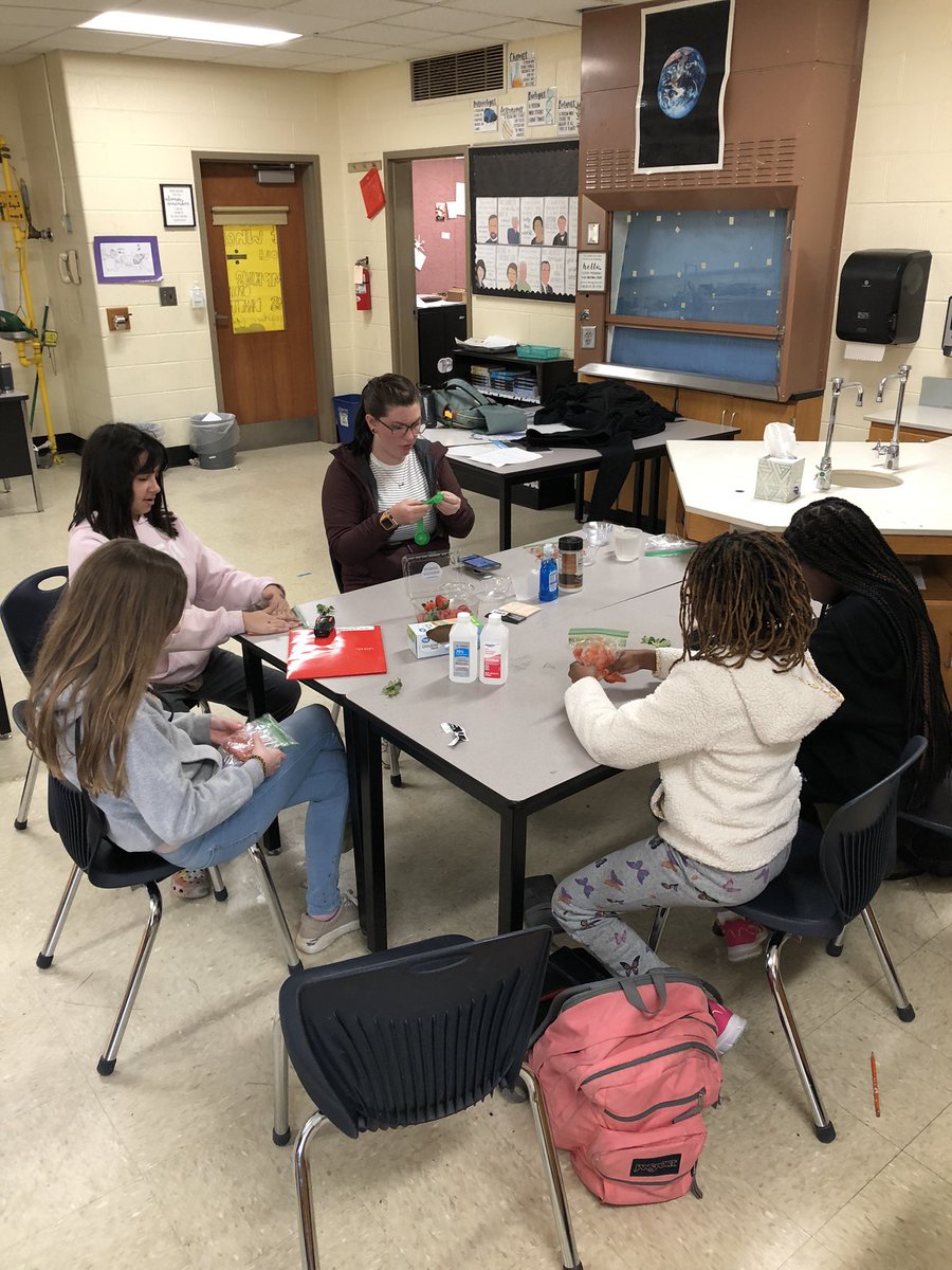 ScienceBrandt's tweet photo. GSTEM extracted DNA from strawberries. Ss have been learning about organelles in class, so they were excited about getting to see the “instruction manual” that’s located in the nucleus. @Yo_STEM @VineMSKnox https://t.co/rqnbggzlIL