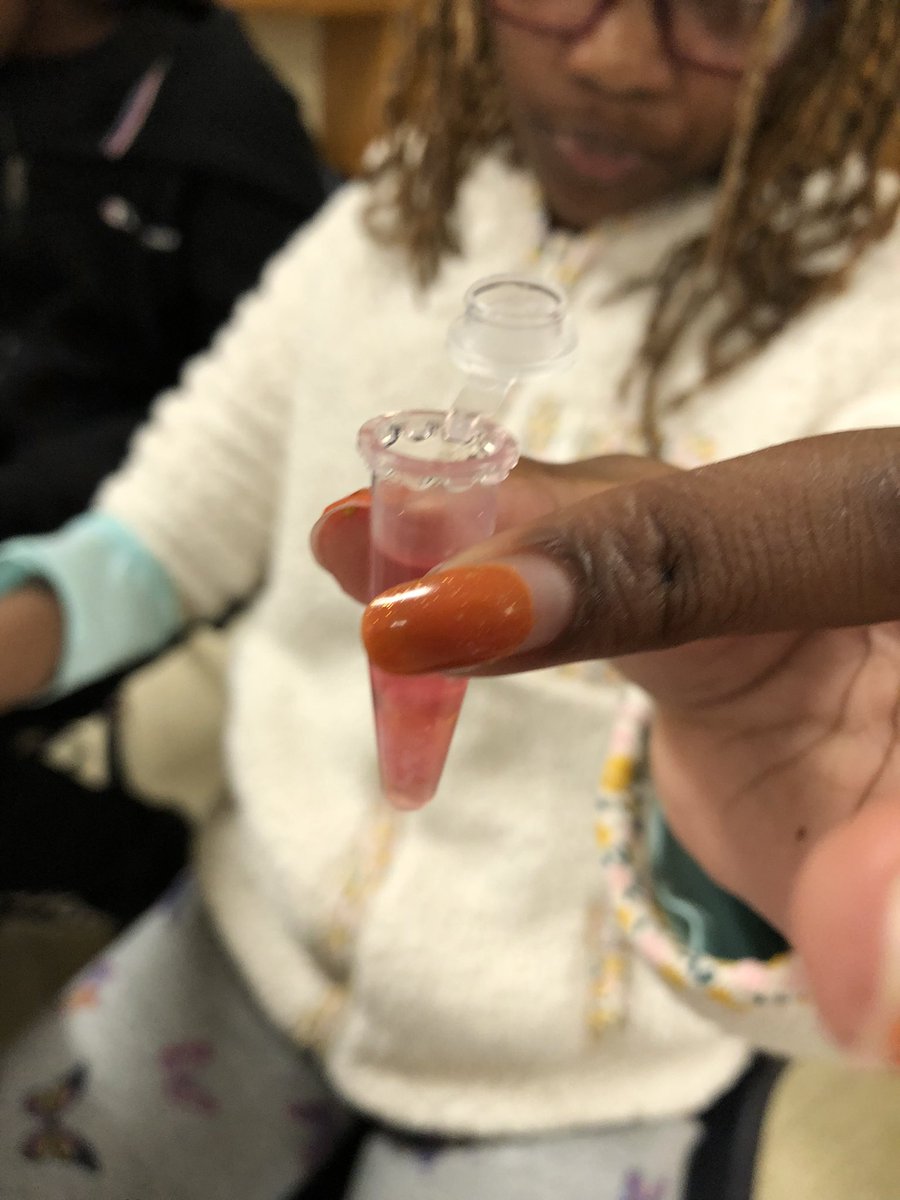 ScienceBrandt's tweet photo. GSTEM extracted DNA from strawberries. Ss have been learning about organelles in class, so they were excited about getting to see the “instruction manual” that’s located in the nucleus. @Yo_STEM @VineMSKnox https://t.co/rqnbggzlIL
