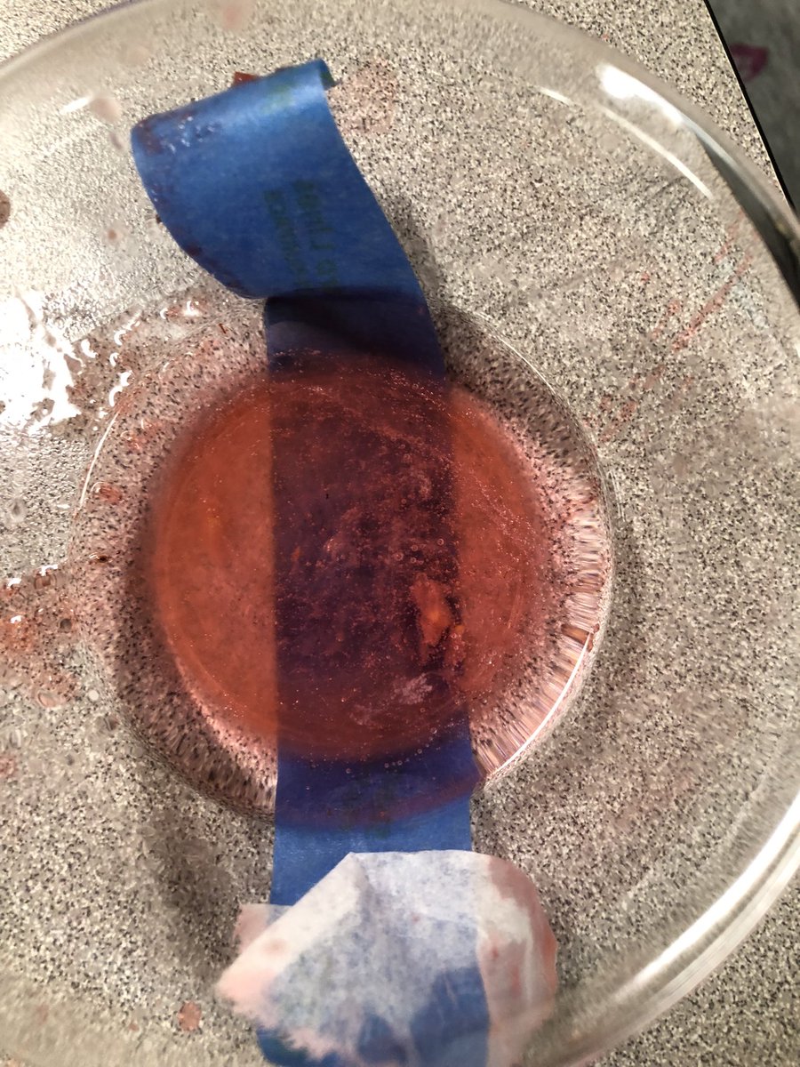 ScienceBrandt's tweet photo. GSTEM extracted DNA from strawberries. Ss have been learning about organelles in class, so they were excited about getting to see the “instruction manual” that’s located in the nucleus. @Yo_STEM @VineMSKnox https://t.co/rqnbggzlIL