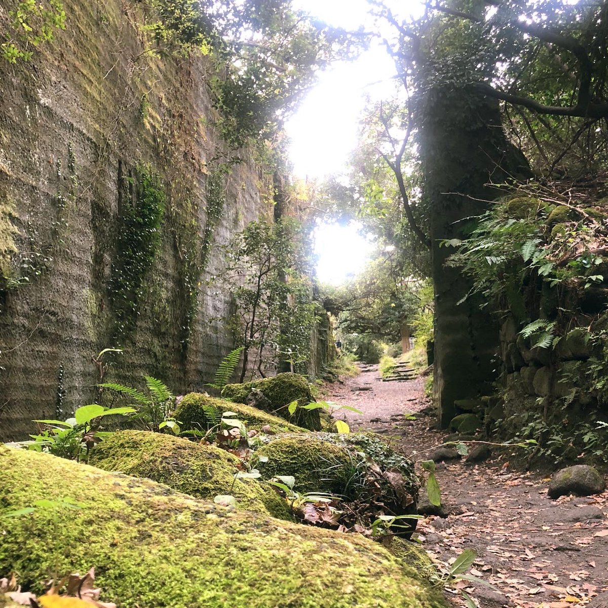 KayDevid's tweet photo. 11月もラスト。
ジブリパークではないですが、ラピュタに行った気分で秋を感じました。
さて師走もガンバっぺ✨💪
いつも心に太陽を・・・
#天空の城ラピュタ #ジブリ #鋸山 #日本寺 #���葉 #師走 https://t.co/frvHCbmv57