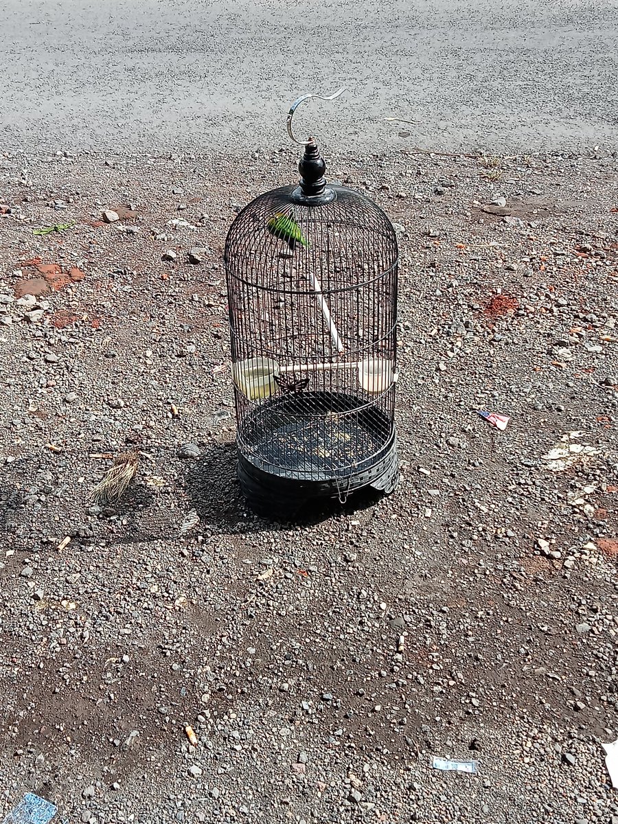 Mumpung cuaca lagi cerah caring dulu biar sehat 😁🤪