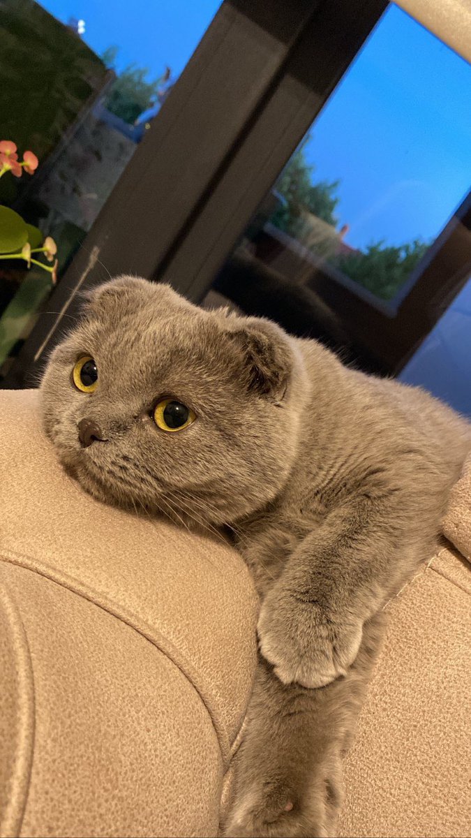 AlparslanErdemm's tweet image. Sende gökyüzünde en güzel yerde ol seni kaybetmek çok acı verici… 💫