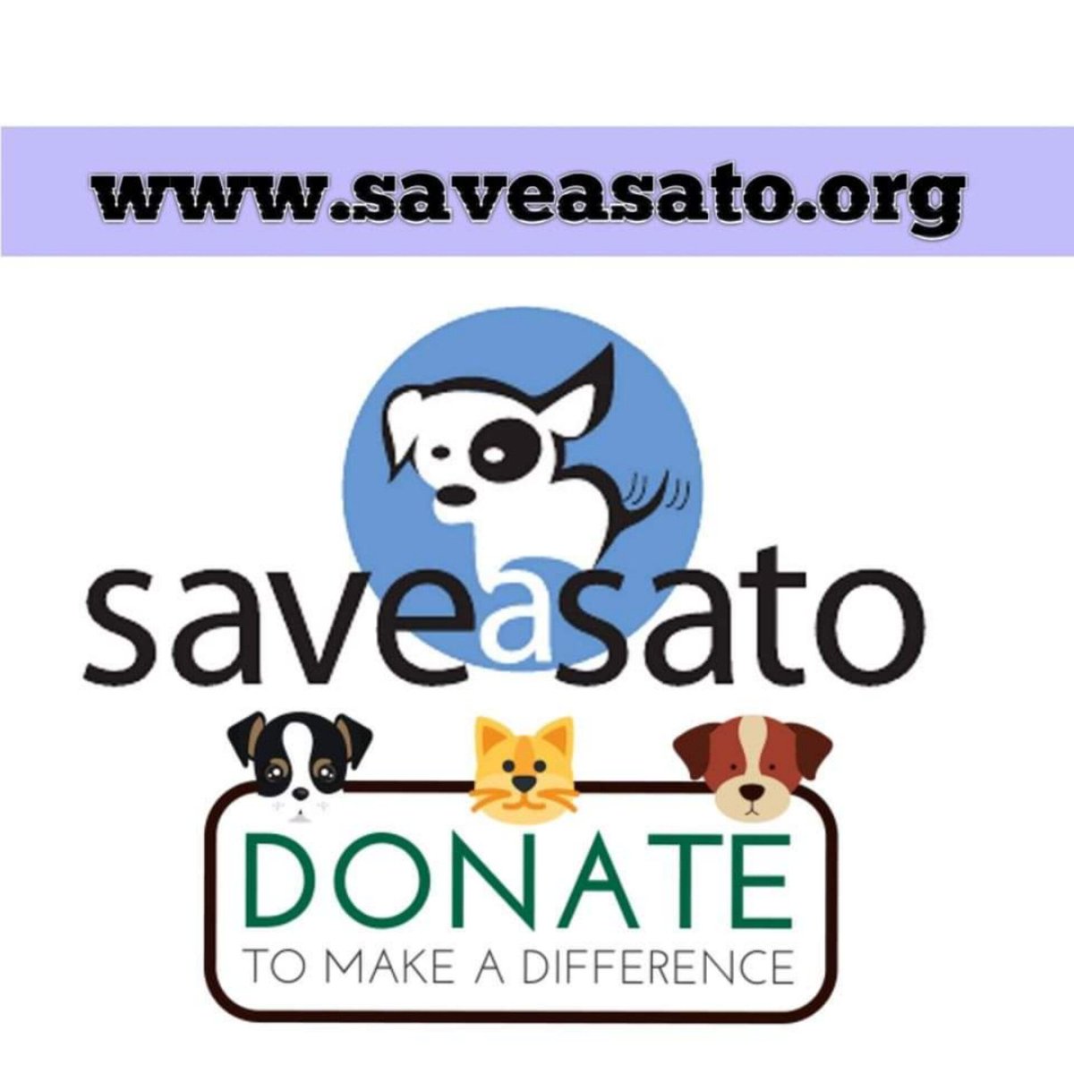 #GivingTuesday #GivingTuesday2022 #RescueDog #PuertoRico