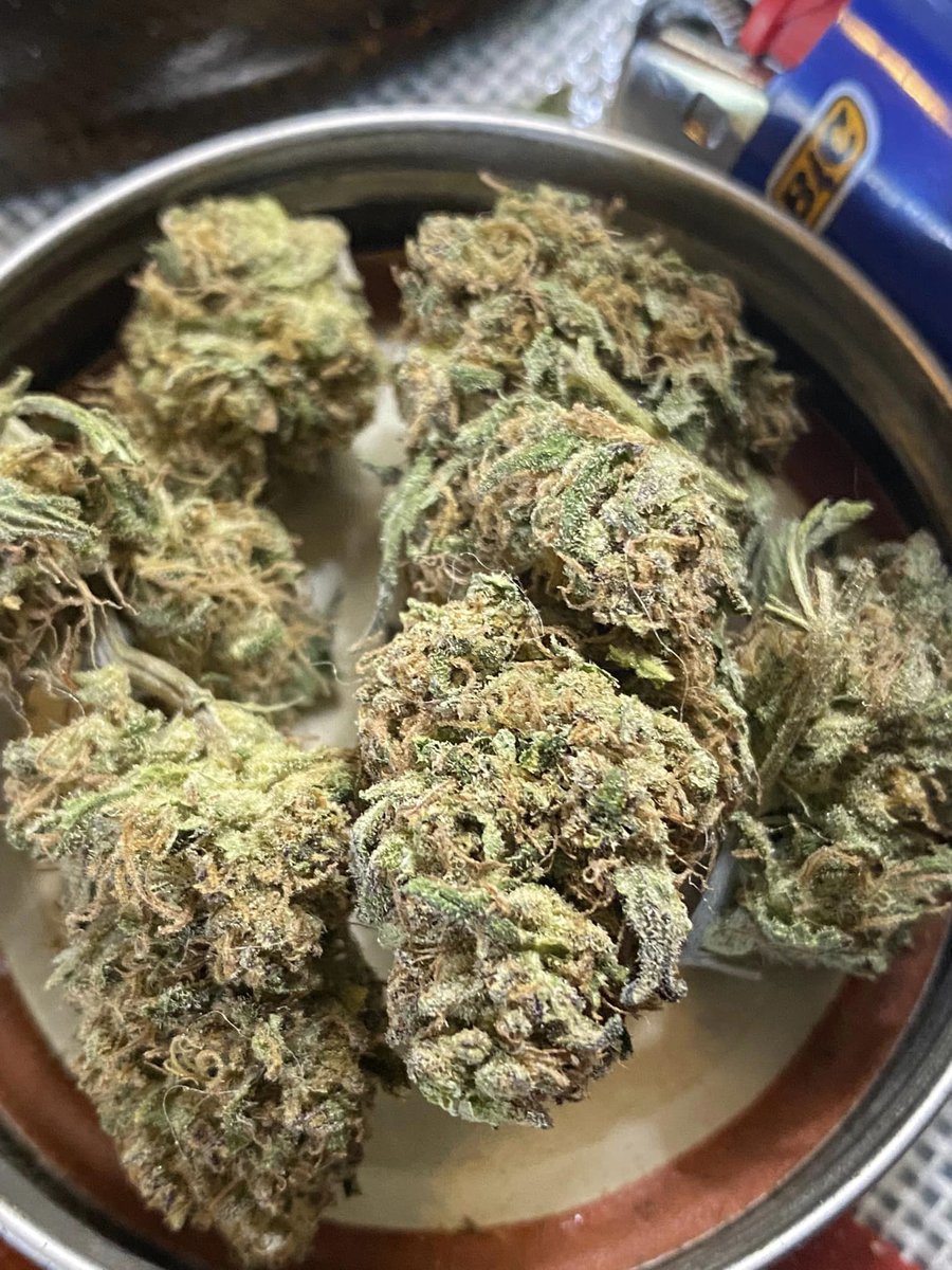 BluntSeeds's tweet photo. #BluntSeeds #CannabisCommunity #Mmemberville #420Community #Growmies #GrowYourOwn #CannabisCulture #watchinggrassgrow https://t.co/z1SB4Hc4tH