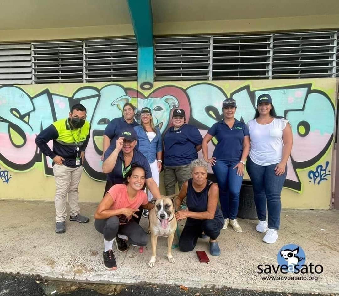 want to help us with a small donation this #GivingTuesday visit our main page saveasato.org and contribute to our cause! #saveasato