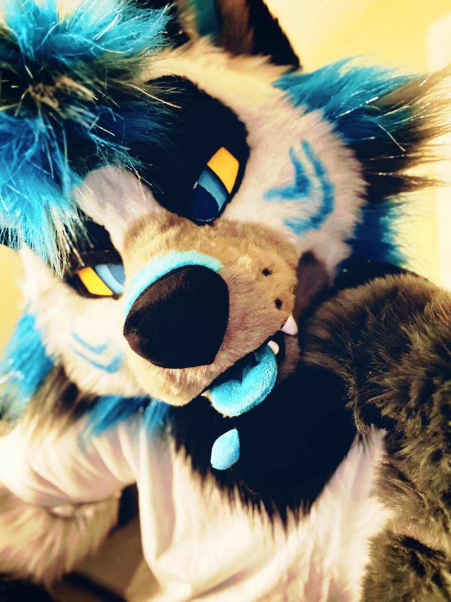 Valkyrie 🤍 🔜 FWA tweet media