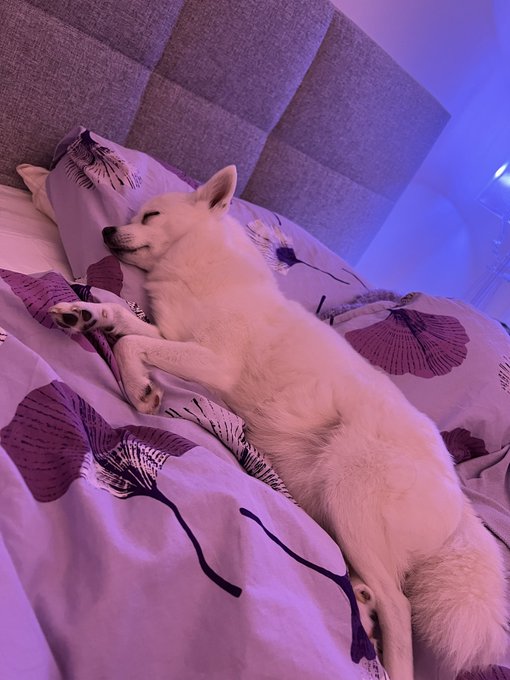 a mood ? https://t.co/U7nX1IVUTi