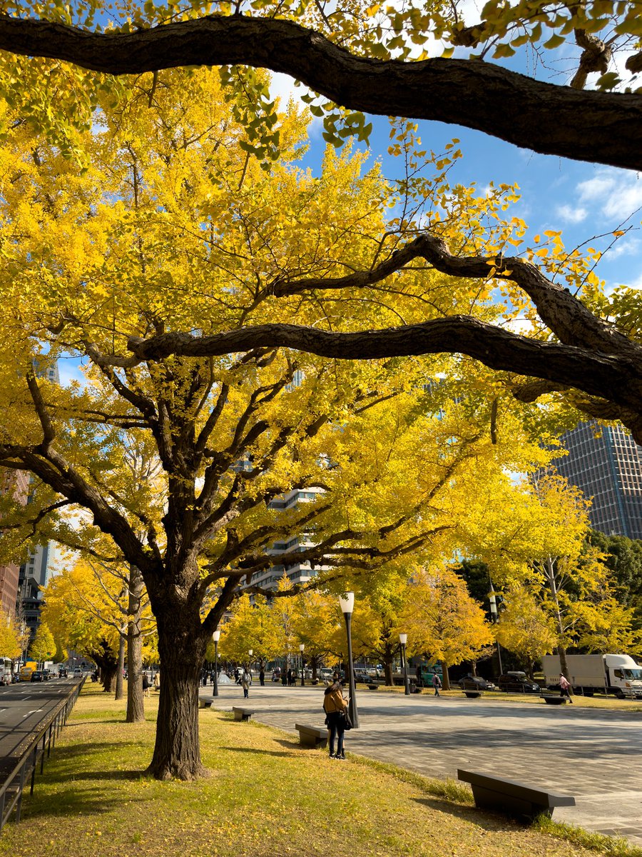 46 | me & chuu tweet media