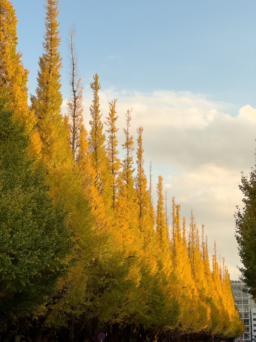 46 | me & chuu tweet media