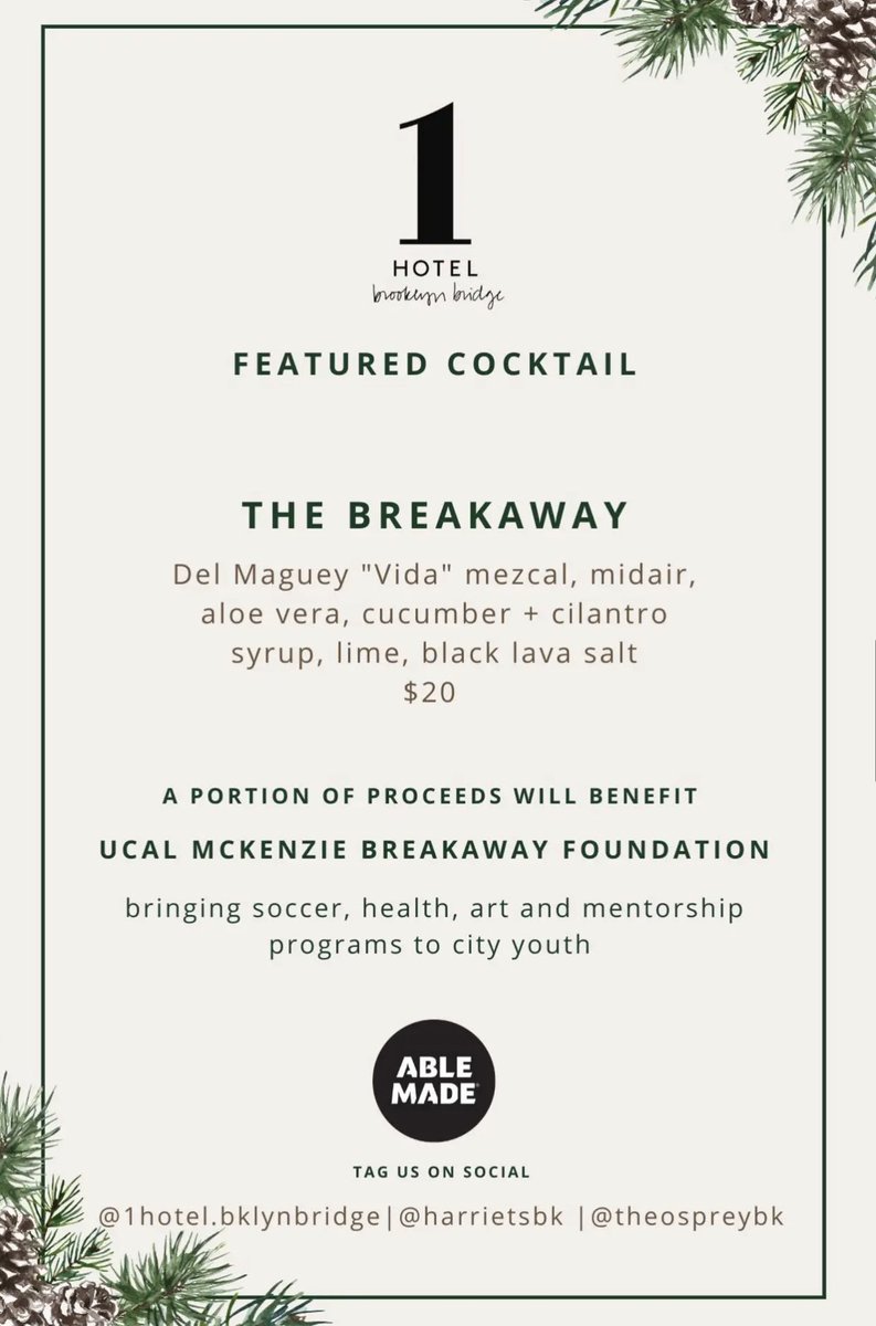 Thank you <a href="/1Hotels/">1 Hotels</a> Brooklyn for offering an amazing cocktail to benefit our foundation until the end of the year. 

Get yours today at <a href="/theospreybk/">The Osprey</a>. 🫶

Cheers! ❤️