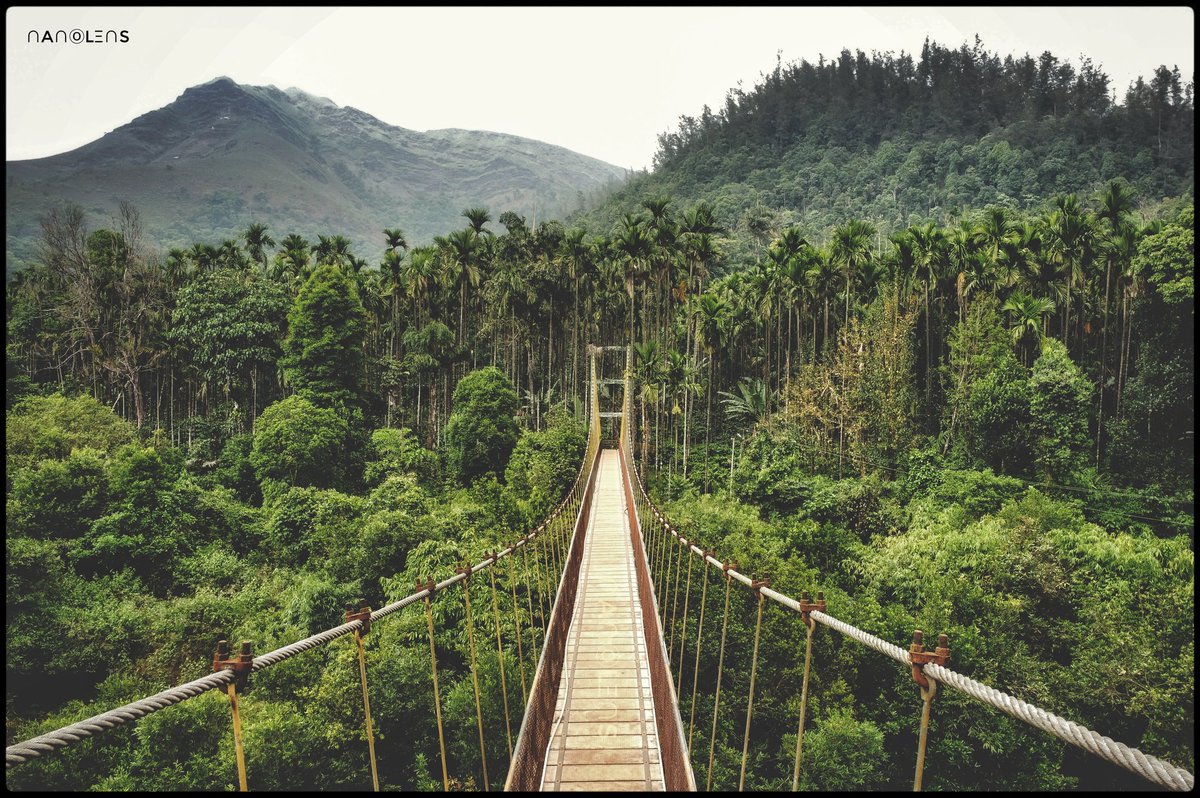 NanoLens tweet media