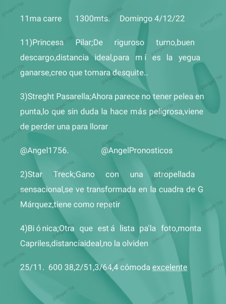 Angel17561's tweet photo. La Penúltima dominical,la quinta válida
#HipismoLaRinconada https://t.co/OhqcE3ZauL