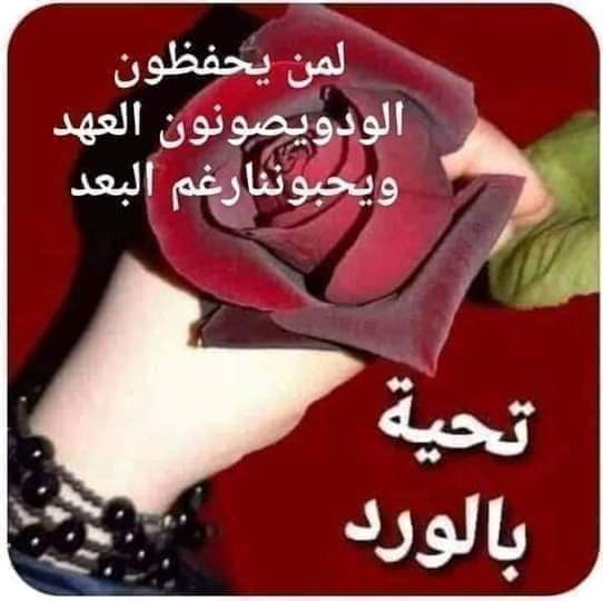 ..❤️ لولى❤️.. للدعم.. تابعنى اتابعك.. 72n tweet media