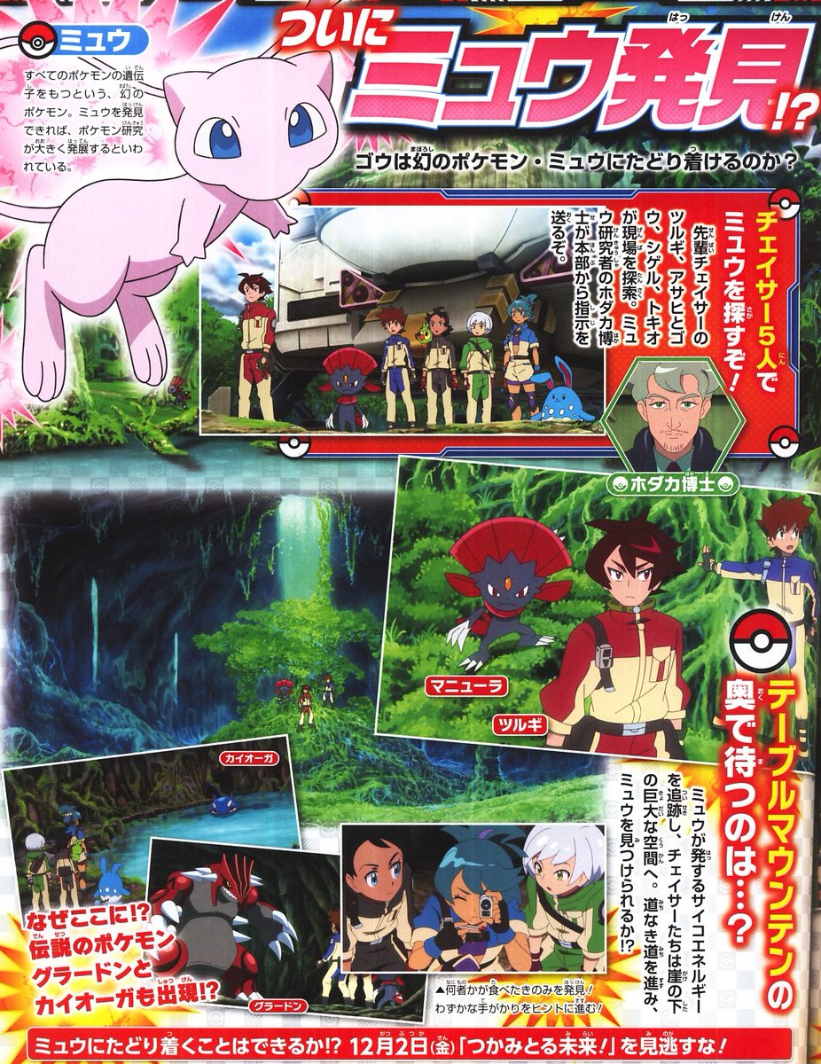 ポケモンファン 第81号』を購入しました。これから発売される