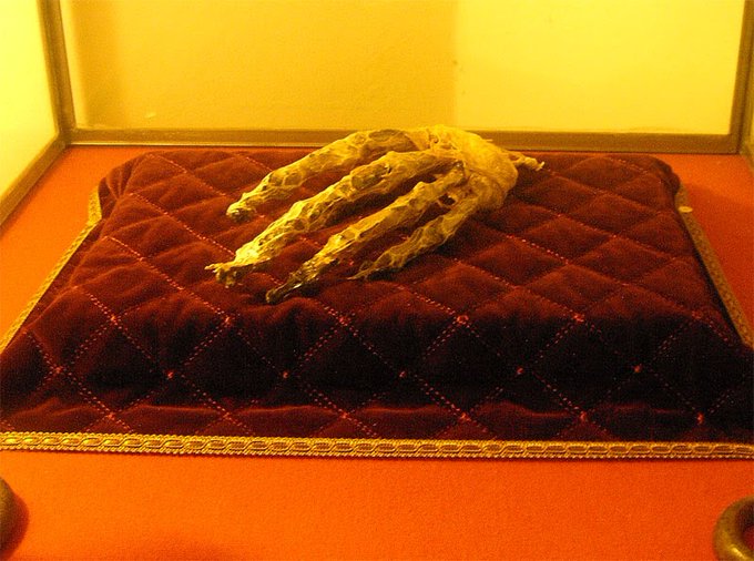 MortalTerror's tweet photo. ¿Sabías qué? La Mano de Gloria es uno de los artefactos de brujería más aterradores. Es la misma extremidad de una persona que fue ahorcada a la cual se agregan velas en las puntas de los dedos fabricadas con grasa del mismo cadáver y cabellos trenzados a modo de mecha. https://t.co/VGvK1D1R8Z