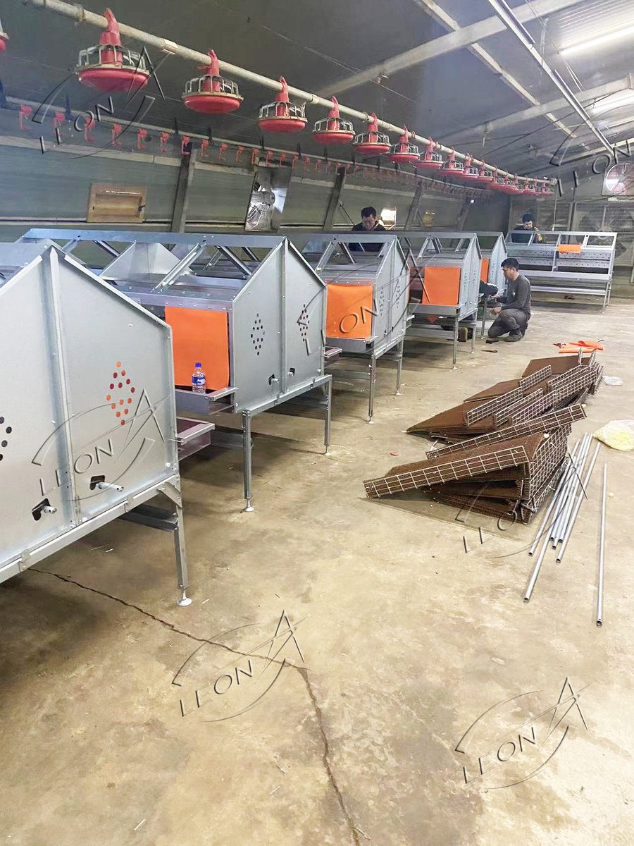 misa_zhang's tweet photo. Leon's equipment installed in our Australia's free-range layer farms, looks so good! the eggs quality must be excellent☺️😊
#freerange #freerangechickenfarming #chickenfarm #layerfarm #eggfree #QualityEgg #poultryfarming #eggs #livestockfarming #poultry #poultryfarming #leon https://t.co/LBvapnt5U6