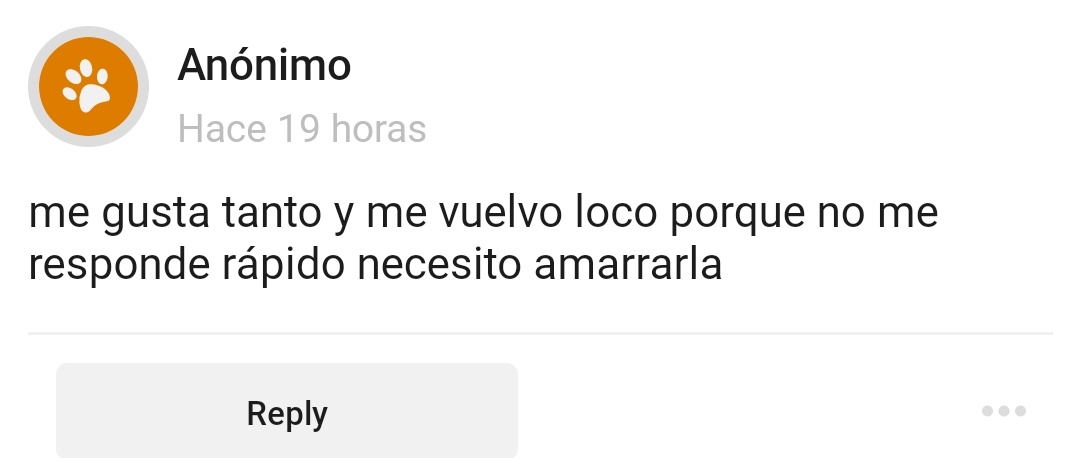 ccfkIand's tweet image. Yop
—🐹