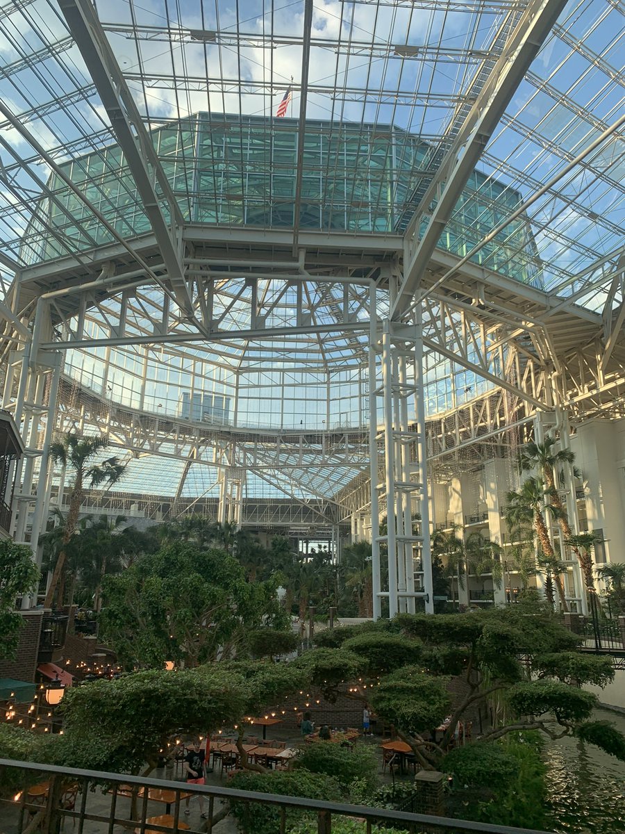 MrMikeInvesting's tweet image. 🚨 $100 GIVEAWAY 🚨

How To Enter ⤵️

1.) Follow &amp;amp; Turn On Notifications for @MrMikeInvesting 

2.) ❤️ &amp;amp; ♻️ This Tweet

3.) Tag a Friend 👥