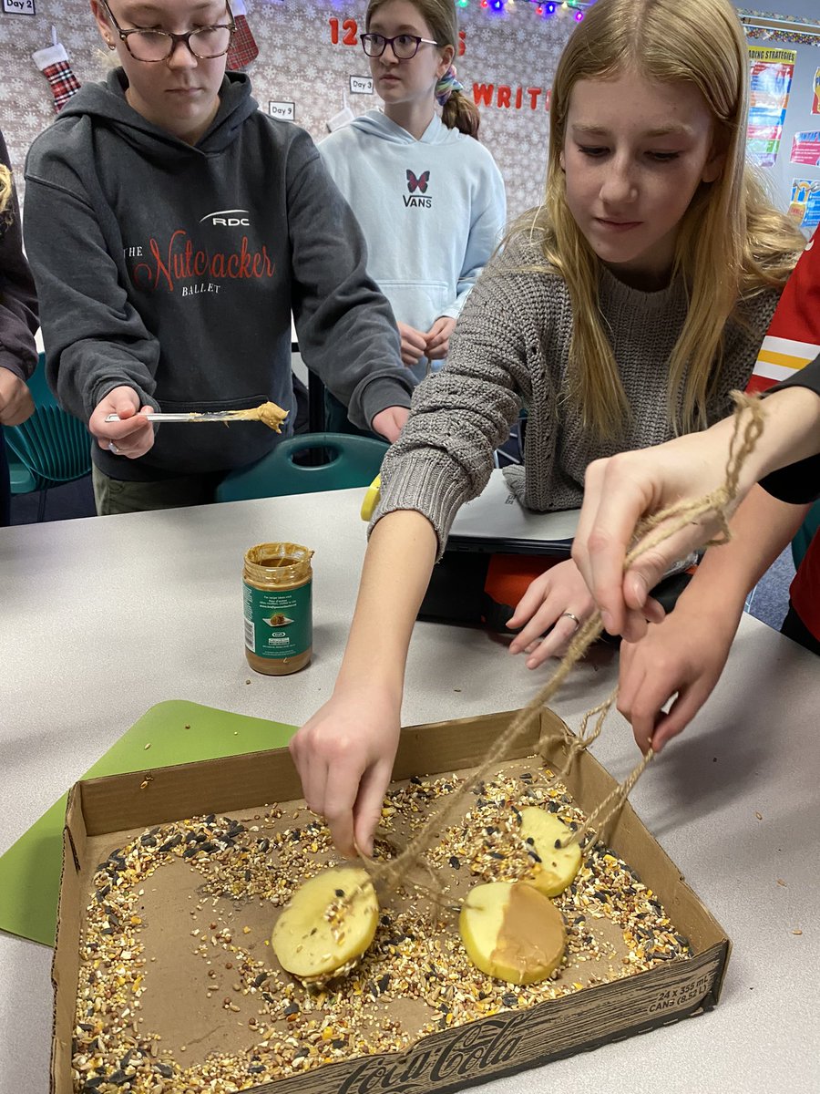 My #environmentalsciences class at <a href="/Lacombejrhigh/">Lacombe Junior High</a> are taking care of our feathered friends today.