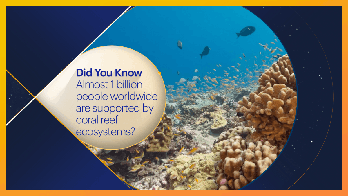 CuriosityStream's tweet photo. #DidYouKnow: Almost 1 billion people worldwide benefit from the food and arable land provided by coral reef ecosystems? #ReefsOfHope https://t.co/xmkikdrCVJ