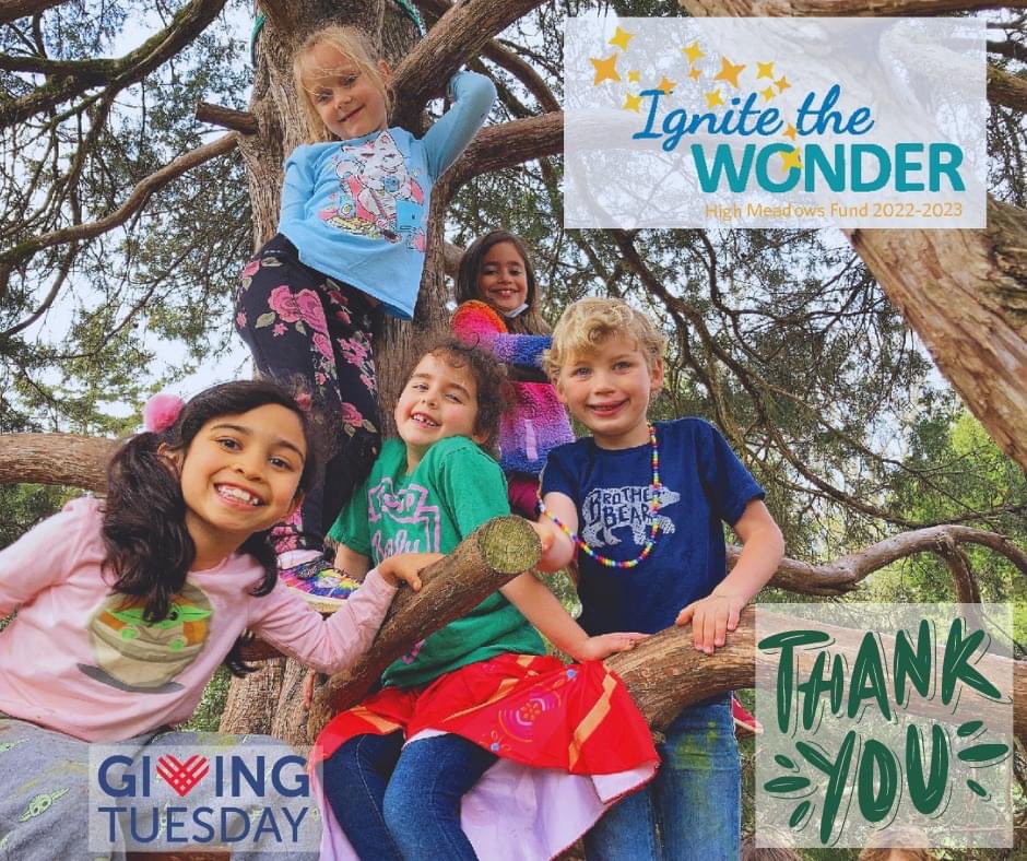 High Meadows School tweet media