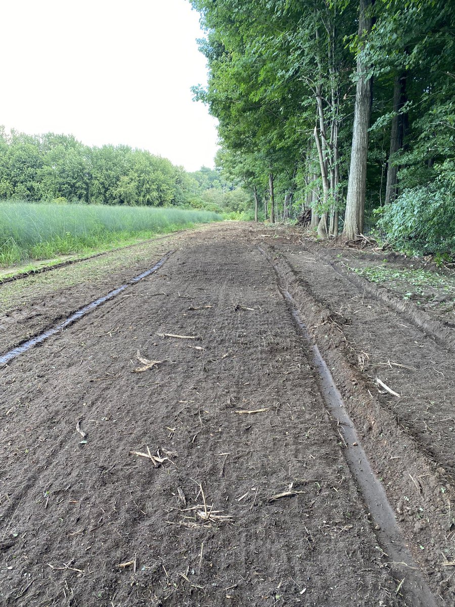 haupt_dan's tweet photo. #TreeLineMaintenane Based on how busy the fall season has been consider getting signed up #preplant2023 #ontag #HauptTLM https://t.co/ZsqSTWphZX