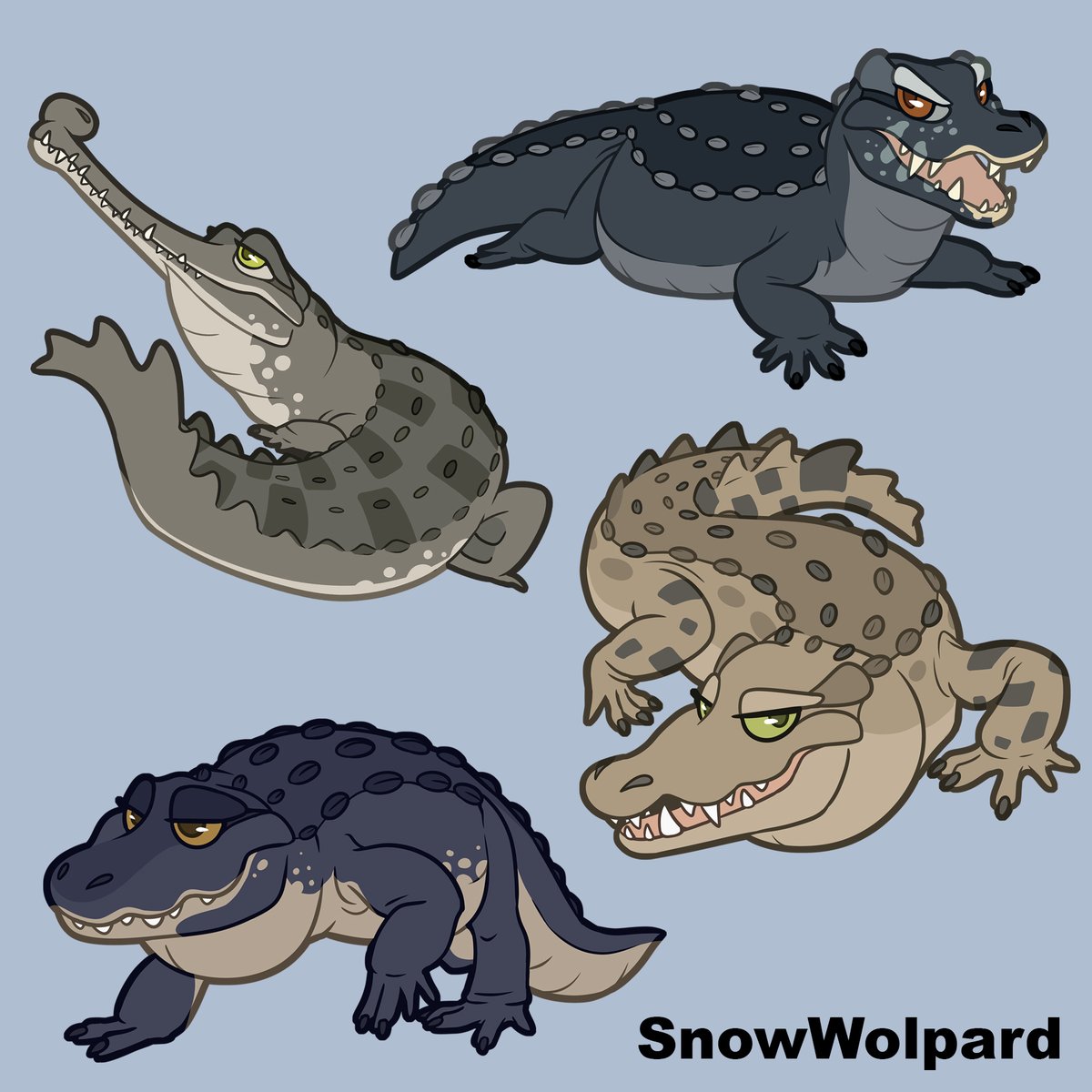 SnowWolpard🐺🪶 tweet media