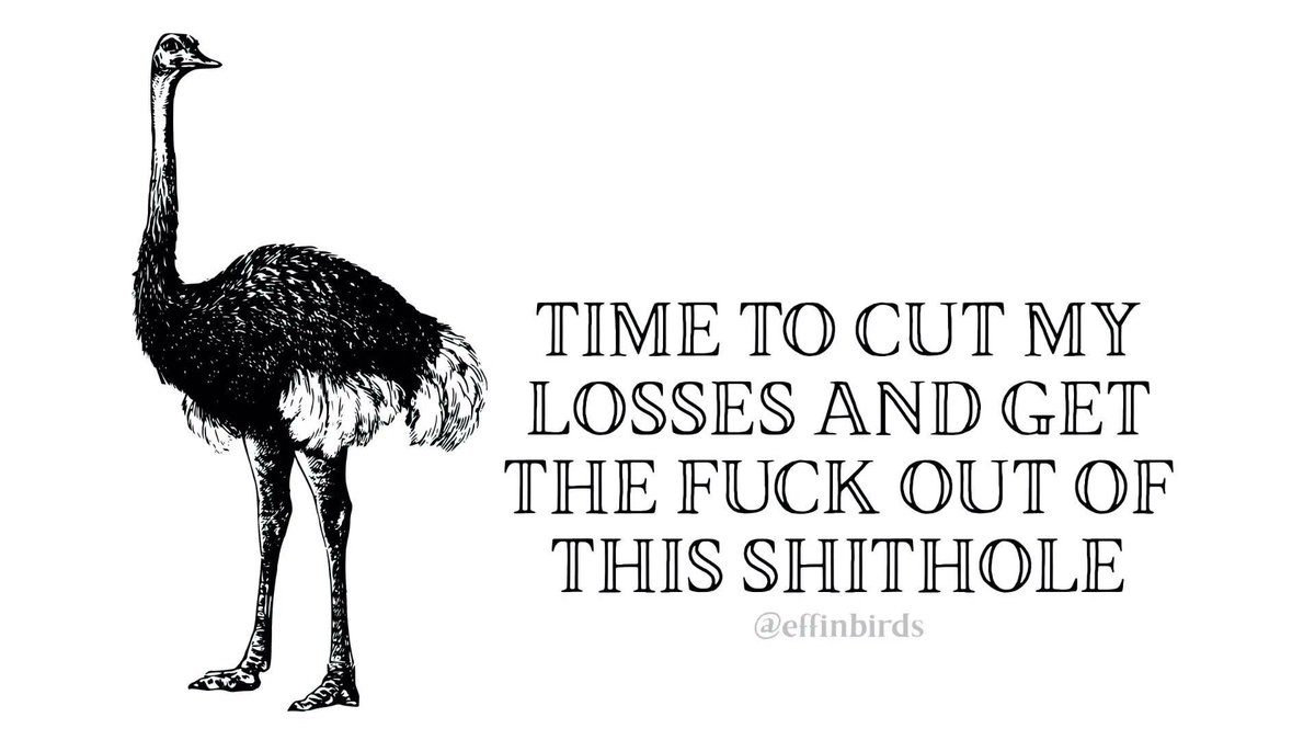 𝐑𝐨𝐫𝐲 𝐀. 𝐊𝐞𝐦𝐞𝐲𝐬 ® tweet media