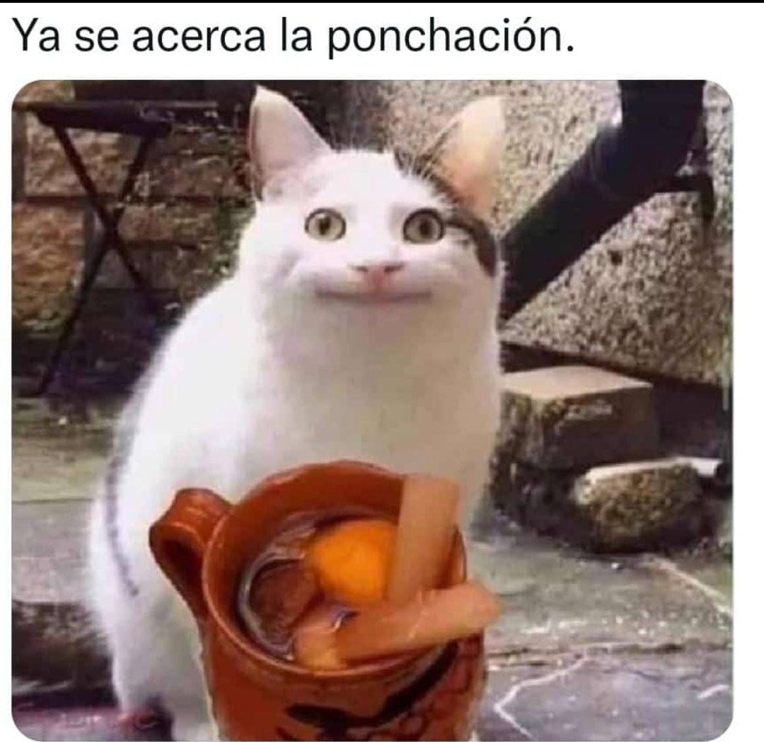 saenz_geo's tweet photo. #TipicoQue ya está cerca el mes de Diciembre y pensamos en la comida de esa temporada 🤤 https://t.co/tYhjxAst60