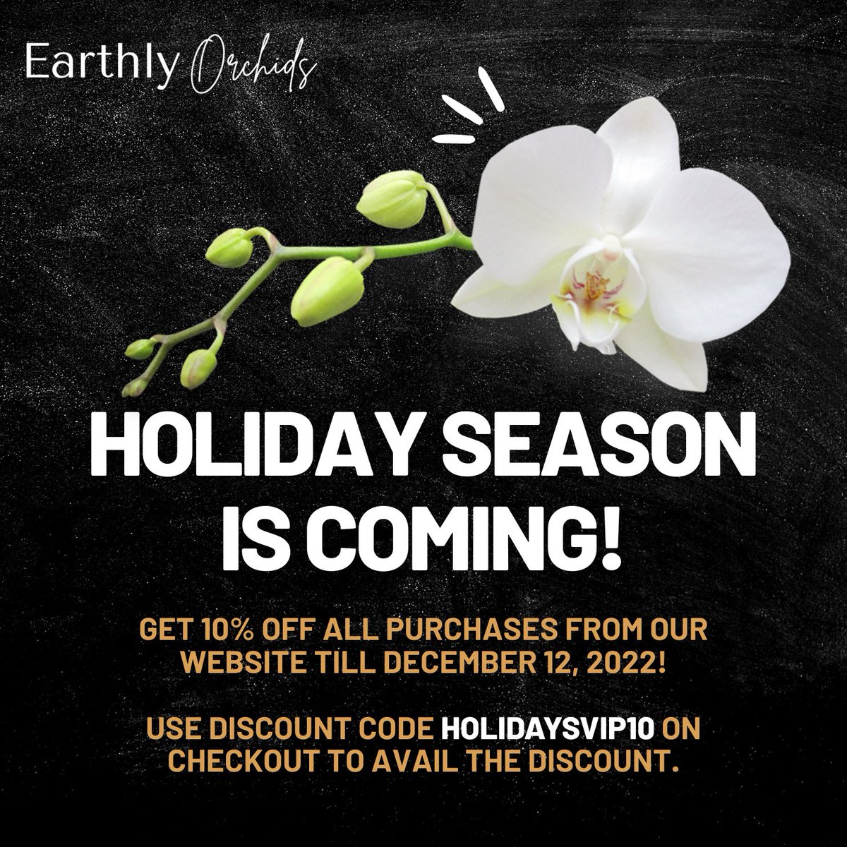 EarthlyOrchids's tweet photo. Get 10% off all purchases from our website till December 12, 2022!

Use discount code HOLIDAYSVIP10 on checkout to avail the discount.

Visit our site at https://t.co/N1QljzKR2M to purchase.

#earthlyorchids #holidayshopping #orchids https://t.co/cEjKGW5Yt1