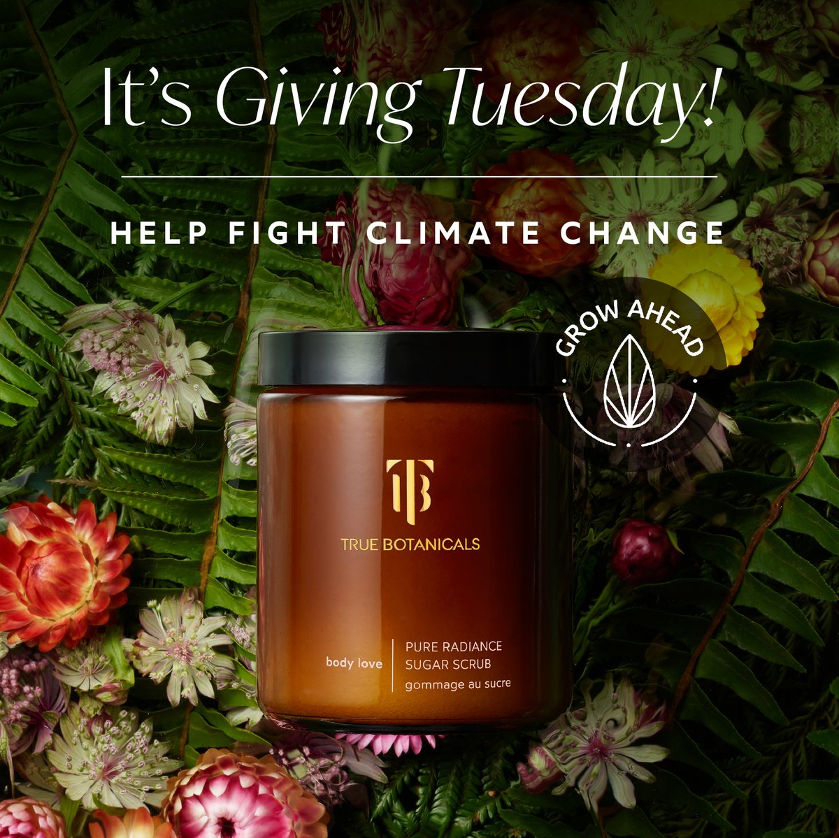 ⭐⭐⭐⭐⭐ “This leaves my skin soft, hydrated and smelling oh-so good!” - Chloe L TODAY ONLY on #GivingTuesday all proceeds from our Pure Radiance Sugar Scrub will be donated to @GrowAhead to support a regenerative farming initiative in Pernambuco, Brazil.