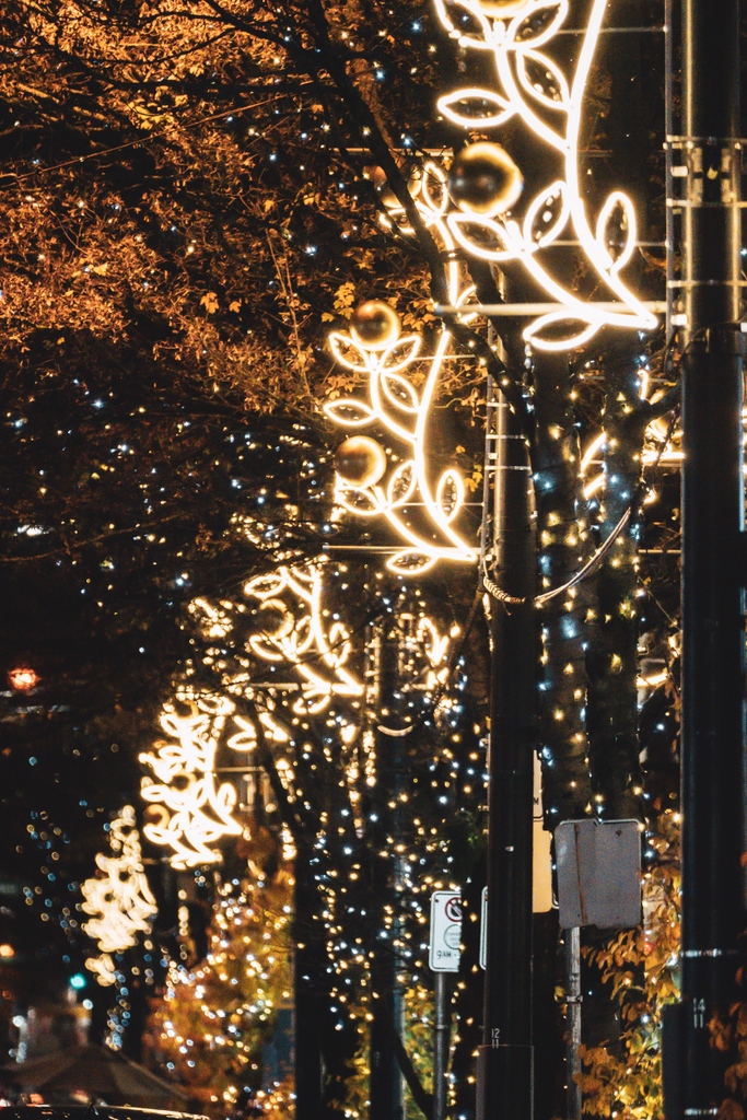 RobsonStreet's tweet photo. Leave a little sparkle wherever you go. โจ #onRobson
(๐ท๏ธ: @mjtphoto.org_) https://t.co/M2cWXWCpeG